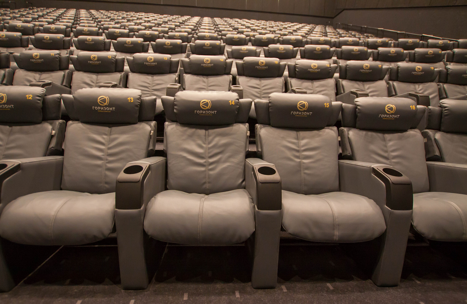 Кинотеатр "Горизонт СINEMA&EMOTION" г. Ростов-на-Дону